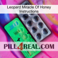 Leopard Miracle Of Honey Instructions new04